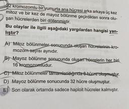 32 kromozomlu bir yumurta ana hücresi arka arkaya üç kez
mitoz ve bir kez de mayoz bölünme geçirdikten sonra olu-
şan hücrelerden biri döllenmistir.
Bu olaylar ile ilgili aşağıdaki yargılardan hangisi yan-
lıştır?
A) Mitoz bölünmeler sonucunda oluşan hücrelerinin_kro-
mozom sayısı aynıdır.
B) Mayoz bölünme sonucunda oluşan hücrelerin her biri
16 kromozomludur.
e) Mitoz bölünmeler tamamlandığında 8 hücre oluşmuştur.
D) Mayoz bölünme sonucunda 32 hücre oluşmuştur.
E) Son olarak ortamda sadece haploit hücreler kalmıştır.