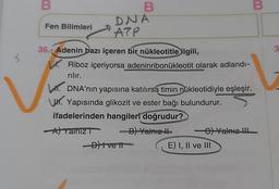 3
B
Fen Bilimleri
B
DNA
ATP
36. Adenin bazı içeren bir nükleotitle ilgili,
V. Riboz içeriyorsa adeninribonukleotit olarak adlandı-
rılır.
DNA'nın yapısına katılırsa timin nükleotidiyle eşleşir.
V. Yapısında glikozit ve ester bağı bulundurur.
ifadelerinden hangileri doğrudur?
A) Yalnız
-B) Yalnız !!
-D)tvett
-C) Yalnız !!!
E) I, II ve III
B
3
V