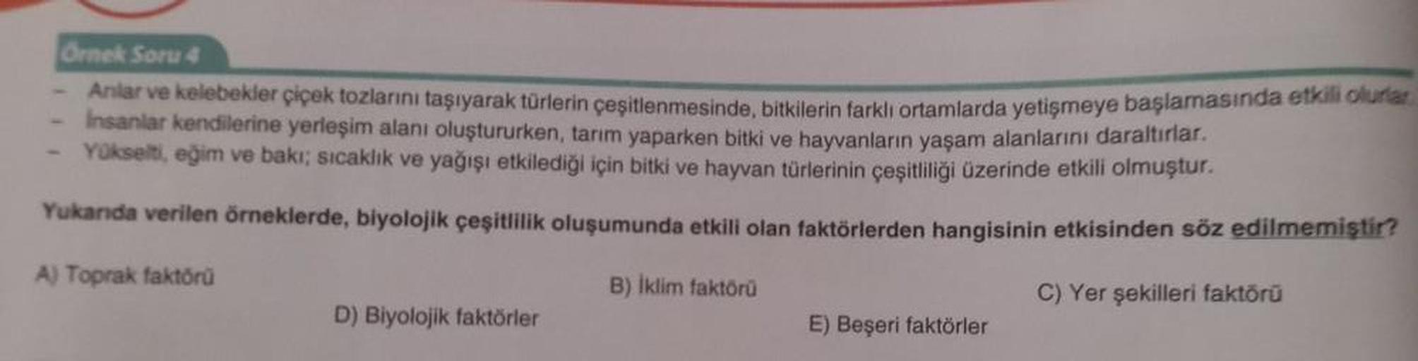 Örnek Soru 4
Anılar ve kelebekler çiçek tozlarını taşıyarak türlerin çeşitlenmesinde, bitkilerin farklı ortamlarda yetişmeye başlamasında etkili olurlar
Insanlar kendilerine yerleşim alanı oluştururken, tarım yaparken bitki ve hayvanların yaşam alanlarını