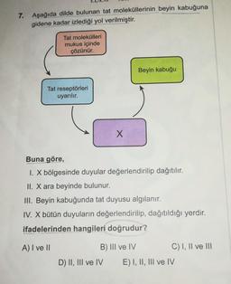 7. Aşağıda dilde bulunan tat moleküllerinin beyin kabuğuna
gidene kadar izlediği yol verilmiştir.
Tat molekülleri
mukus içinde
çözünür.
Tat reseptörleri
uyarılır.
X
Buna göre,
1. X bölgesinde duyular değerlendirilip dağıtılır.
II. X ara beyinde bulunur.
III. Beyin kabuğunda tat duyusu algılanır.
IV. X bütün duyuların değerlendirilip, dağıtıldığı yerdir.
ifadelerinden hangileri doğrudur?
A) I ve II
B) III ve IV
D) II, III ve IV
Beyin kabuğu
C) I, II ve III
E) I, II, III ve IV