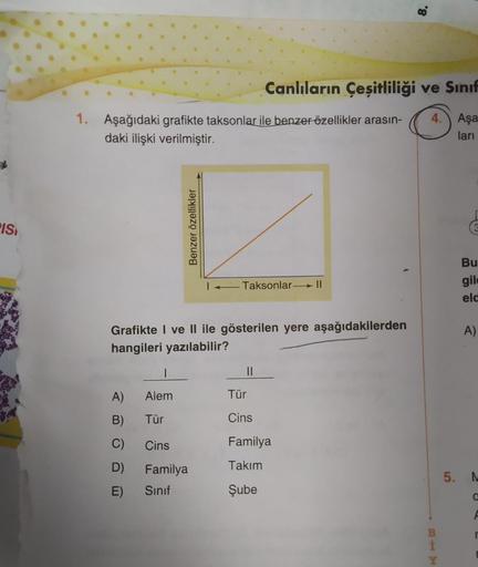 PIS
1. Aşağıdaki grafikte taksonlar ile benzer özellikler arasın-
daki ilişki verilmiştir.
A)
B)
C)
D)
E)
Benzer özellikler
Alem
Tür
Grafikte I ve II
hangileri yazılabilir?
Cins
Familya
Sınıf
1 Taksonlar - Il
gösterilen yere aşağıdakilerden
Canlıların Çeşi