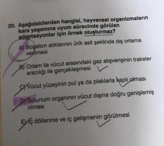 20. Aşağıdakilerden hangisi, hayvansal organizmaların
kara yaşamına uyum sürecinde görülen
adaptasyonlar için örnek oluşturmaz?
A) Boşaltım atıklarının ürik asit şeklinde dış ortama
verilmesi
B) Ortam ile vücut arasındaki gaz alışverişinin trakeler
aracılı