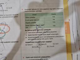 atma
tire
E) I, II ve III
C) I ve III
tkiler ve hayvanlar aleminde
er numaralandırılarak göste-
Bitkiler alemi
alemi
e ilgili aşağıdaki eşleştirme-
ma
5. Aşağıdaki tabloda bir virüs çeşidinin beş farklı ortamdaki
üreme durumları verilmiştir.
Ortam
Glikoz çözeltisi
E.coli içeren besi yeri
Nişasta çözeltisi
Epitel hücreleri içeren best
yeri
Üreme
Yok
Var
Yok
Bu tabloya göre, Ngili virüs çeşidi için,
1. Canlı hücre içermeyen ortamlarda üreyemez.
II. Epitel hücreleri konak hücre olarak kullanmıştır.
III. Kuyruk proteinleri ile E. Coli bakterilerinin yüzey protein-
leri arasında anahtar kilit uyumu vardır.
ifadelerinden hangileri doğru değildir?
A) Yalnız II
B Yalnız III
D) II ve H
Yok
6. Farklı canlı türlerinde gözlenebilen,
kofula sahip olma
C) I ve II
E) I, II ve III
BÖLÜM - 2
Ökaryot Canlılar ve Virüsler
194990