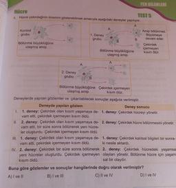 Hücre
TEST 5
8. Hücre çekirdeğinin önemini gösterebilmek amacıyla aşağıdaki deneyler yapılıyor.
A
Kontrol
grubu
Bölünme büyüklüğüne
ulaşmış amip
2. Deney
grubu
A
1. Deney
grubu
B
A
III. 1. deney: Çekirdek olan kısım yaşamaya de-
vam etti, çekirdek içermeyen kısım öldü.
IV. 2. deney: Çekirdek bir süre sonra bölünerek
yeni hücreler oluşturdu. Çekirdek içermeyen
kısım öldü.
B
Bölünme büyüklüğüne
ulaşmış amip
A
FEN BİLİMLERİ
B
Amip bölünmez.
Büyümeye
devam eder.
Bölünme büyüklüğüne Çekirdek içermeyen
ulaşmış amip
kısım ölür.
Deneylerde yapılan gözlemler ve çıkarılabilecek sonuçlar aşağıda verilmiştir.
Deneyde yapılan gözlem
Deney sonucu
1.
1. deney: Çekirdek olan kısım yaşamaya de- 1. deney: Çekirdek hücreyi yönetir.
vam etti, çekirdek içermeyen kısım öldü.
Çekirdek
içermeyen
Kısım ölür.
II.
2. deney: Çekirdek olan kısım yaşamaya de- 2. deney: Çekirdek hücre bölünmesini yönetir.
vam etti, bir süre sonra bölünerek yeni hücre-
ler oluşturdu. Çekirdek içermeyen kısım öldü.
1. deney: Çekirdek kalıtsal bilgileri bir sonra-
ki nesile aktardı.
2. deney: Çekirdek hücredeki yaşamsal
olayları yönetir. Bölünme hücre için yaşam
sal bir olaydır.
Buna göre gözlemler ve sonuçlar hangilerinde doğru olarak verilmiştir?
A) I ve II
B) I ve III
C) II ve IV
D) I ve IV