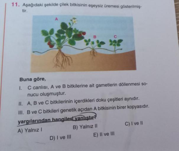 11. Aşağıdaki şekilde çilek bitkisinin eşeysiz üremesi gösterilmiş-
tir.
B
Buna göre,
I. C canlısı, A ve B bitkilerine ait gametlerin döllenmesi so-
nucu oluşmuştur.
II. A, B ve C bitkilerinin içerdikleri doku çeşitleri aynıdır.
III. B ve C bitkileri genet