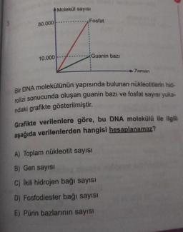 80.000
10.000
Molekül sayısı
Fosfat
Guanin bazı
7aman
Bir DNA molekülünün yapısında bulunan nükleotitlerin hid-
rolizi sonucunda oluşan guanin bazı ve fosfat sayısı yuka-
ndaki grafikte gösterilmiştir.
Grafikte verilenlere göre, bu DNA molekülü ile ilgili
aşağıda verilenlerden hangisi hesaplanamaz?
A) Toplam nükleotit sayısı
B) Gen sayısı
C) Ikili hidrojen bağı sayısı
D) Fosfodiester bağı sayısı
E) Pürin bazlarının sayısı