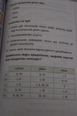 Protein sentezinde görev alan,
mRNA
TRNA
molekülleri ile ilgili,
1. enzim gibi davranarak amino asitler arasında peptit
A)
D)
E)
IRNA
bağı kurulmasında görev yapma,
I. ribonukleotitlerden oluşma,
III. sentezlenecek polipeptidin amino asit dizilimine ait
şifreleri bulundurma,
IV. amino asidi ribozoma taşıma görevini gerçekleştirme
özelliklerinin doğru eşleştirilmesi, aşağıdaki seçenek-
lerin hangisinde verilmiştir?
B)
C)
mRNA
II, III
1, 11
1, 11
II, IV
II, III, IV
tRNA
II, IV
I, II, III, IV
1, III
III, IV
TRNA
1, 11
II, IV
11