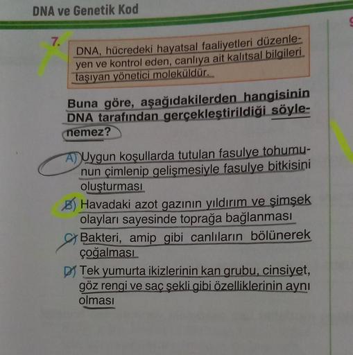 DNA ve Genetik Kod
7.
DNA, hücredeki hayatsal faaliyetleri düzenle-
yen ve kontrol eden, canlıya ait kalıtsal bilgileri
taşıyan yönetici moleküldür.
Buna göre, aşağıdakilerden hangisinin
DNA tarafından gerçekleştirildiği söyle-
nemez?
A)Uygun koşullarda tu