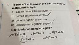 7. Toplam nükleotit sayıları eşit olan DNA ve RNA
molekülleri ile ilgili;
I. adenin nükleotitlerinin sayısı,
II. pentoz şekerlerinin sayısı,
III. pürin bazlarının sayısı,
IV. fosfodiester bağlarının sayısı
niceliklerinden
hangileri eşittir?
Btve III
A) Yalnız II
D) II ve IV
-
E
CII ve III
ve IV