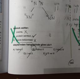 en
r.
It
i-
e
i
a
15
AS
N "N
1
"NN"
D) I ve II
Nükleik asitler;
üreme, X
II. protein sentezi,
Ill. hücre bölünmesi X
olaylarından hangilerinde görev alır?
A) Yalnız/1
B) Yalnız II
NN
1514
||
ct/
C) Yalniz III
E) II ve III
1516 1414
11 (1
7.4$ mele
1.15 hagi
303
6. Te
1.
II.
III.
Ve
A