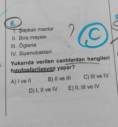 6.
T.Şapkalı mantar
II. Bira mayası
III. Öglena
IV. Siyanobakteri
Yukarıda verilen canlılardan hangileri
fotofosforilasyon yapar?
B) II ve III
A) I ve II
©
D) I, II ve IV
C) III ve IV
E) II, III ve IV
9