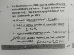 2. Verilen kromozom, DNA, gen ve nükleotit tanım
ve özelliklerine ait katılım birimleri basitten kar-
maşığa doğru dizildiğinde aşağıdakilerden han-
gisi ikinci sırada yer alır?
A) Hücrede yaşamsal olayları kontrol eder.
B) Belirli bir kalıtsal özelliğin oluşumundan sorum-
ludur. DNA
C) Kalıtım molekülünün yapı taşıdır. Nokleotid
DY Hücrenin yönetici molekülü ve özel proteinler-
den oluşmuştur. Kromo 20m
29