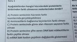 Soru 1
Aşağıdakilerden hangisi hücrelerdeki proteinlerin
birbirinden farklı olmasının nedenlerinden biridir?
A) Protein sentezinin hücrenin farklı
kısımlarında gerçekleşebilmesi
B) Aminoasitlerin bağlanma biçimlerinin farklı olması
C) Protein sentezinde görev alan ribozom sayısının farklı
olması
D) Protein sentezine şifre veren DNA'daki nükleotitlerin
farklı çeşitte olması
E) mRNA'daki kodon çeşidinin değişkenlik göstermesi
Bir h
birbi
hang
A) r
B) L
bağ
C)
ay
DE