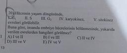 20) Hücrenin yaşam döngüsünde,
II. S
III. G₂
IV. karyokinez, V. sitokinez
evreleri görülebilir.
Buna göre, insanda embriyo hücrelerinin bölünmesinde, yukarıda
verilen evrelerden hangileri görülmez?
IA) I ve II
B) I ve III
C) II ve IV
E) IV ve V
13
D) III ve V