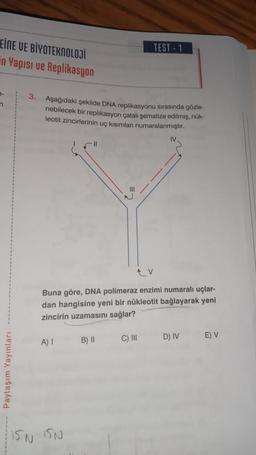 EINE VE BİYOTEKNOLOJİ
in Yapısı ve Replikasyon
7-
n
Paylaşım Yayınları
3. Aşağıdaki şekilde DNA replikasyonu sırasında gözle-
nebilecek bir replikasyon çatalı şematize edilmiş, nük-
leotit zincirlerinin uç kısımları numaralanmıştır.
A) I
11
ISN ISN
Buna göre, DNA polimeraz enzimi numaralı uçlar-
dan hangisine yeni bir nükleotit bağlayarak yeni
zincirin uzamasını sağlar?
B) II
TEST-1
V
C) III
D) IV
E) V