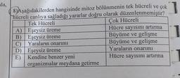 da,
8) Aşağıdakilerden hangisinde mitoz bölünmenin tek hücreli ve çok
hücreli canlıya sağladığı yararlar doğru olarak düzenlenmemiştir?
Tek Hücreli
Çok Hücreli
A) Eşeysiz üreme
Eşeysiz üreme
B)
C) Yaraların onarımı
Eşeysiz üreme
D)
E) Kendine benzer yeni
organizmalar meydana getirme
Hücre sayısını artırma
Büyüme ve gelişme
Büyüme ve gelişme
Yaraların onarımı
Hücre sayısını artırma
1