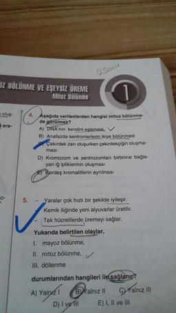 DZ BÖLÜNME VE EŞEYSİZ ÜREME
Mitoz Bölünme
oluş-
ara-
0-
25014
1
4. Aşağıda verilenlerden hangisi mitoz bölünme-
de görülmez?
A) DNA'nın kendini eşlemesi..
B) Anafazda sentromerlerin ikiye bölünmesi
Çekirdek zarı oluşurken çekirdekçiğin oluşma-
masi
D) Kromozom ve sentrozomları birbirine bağla-
yan iğ ipliklerinin oluşması
E) Kardeş kromatitlerin ayrılması
5. - Yaralar çok hızlı bir şekilde iyileşir.
Kemik iliğinde yeni alyuvarlar üretilir.
Tek hücrelilerde üremeyi sağlar.
Yukarıda belirtilen olaylar,
1. mayoz bölünme,
II. mitoz bölünme,
III. döllenme
V
durumlarından hangileri ile sağlanır?
A) Yalore Train
D) I vell
BYalnız II
C)Yalnız III
E) I, II ve III