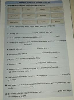 A. Verilen kavramları aşağıdaki uygun boşluklara yerleştiriniz.
profaz
1. BÖLÜM SONU DEĞERLENDİRME SORULARI
rejenerasyon
partenogenez
2. Kromatin iplik
telofaz
anafaz
5. Çekirdek bölünmesi
kromozom
metafaz
8. Mitoz sonucunda
hücre plağı
1. Mitozda kromozomların tek sıra hâlinde ekvator düzlemine dizildiği evreye
denir.
6. Kardeş kromatitler mitozun
3. Hücre bölünmesi sırasında sitoplazma bölünmesine
vejetatif
evresinde kromozom hâline gelir.
7. Kromozomların iğ ipliklerine bağlandığı bölgeye
4. Kopan vücut parçalarının eksik kısımlarını tamamlayarak yeni bireyler oluşturmasına
üreme denir.
evresinde tamamlanır.
sitokinez
polip
sentromer
10. Bitki hücrelerinde sitokinez, hücrenin ekvator bölgesinde
gerçekleşir.
denir.
evresinde birbirinden ayrılır.
12. Bitkilerde görülen bir eşeysiz üreme çeşidi olan
nilenme esasına dayanır.
sayısı aynı olan hücreler oluşur.
denir.
9. Hidranın tomurcuklanmayla oluşturduğu birey, ana canlıya bağlı kalırsa
adı verilen canlı formu oluşturur.
oluşumuyla
11. Dişi bireylerin oluşturduğu yumurtaların döllenme olmaksızın yeni bireyler meydana getir-
mesine
denir.
üreme mitoz ve ye-