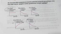 Bir hücrede DNA molekülünün kendini eşlemesi sırasında gerçekleşen olay-
larla ilgili olarak, aşağıda verilen grafiklerden hangisi yanlıştır?
MOT
A) DNA
polimeraz
miktarı ar
Zaman
B) 4 Adenin
nic
C) 4 Sitozin
Zaman
nükleotit
nükleotit
miktarı sognelsen miktari bilan hionis fos
Zaman
Dün D) 4 DNA nin ACE) Ribozlerie stel AMR sliplid ixsb'AMO *
şekeri
A
yapısındaki
hidrojen bağıt no miktarı Toobion U niek
oh nisolie sisteme de ninsub bisb AMC ebi
Zaman Meblün ni Zaman
ilog to