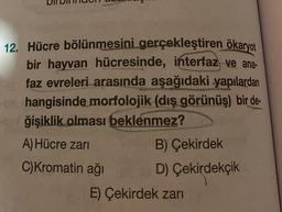 12. Hücre bölünmesini gerçekleştiren ökaryot
bir hayvan hücresinde, interfaz ve ana-
faz evreleri arasında aşağıdaki yapılardan
hangisinde morfolojik (dış görünüş) bir de
ağişiklik olması beklenmez?
A) Hücre zarı
C) Kromatin ağı
B) Çekirdek
D) Çekirdekçik
E) Çekirdek zarı