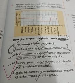 üç.
cu
en
2.
Aşağıdaki grafik tohumlu bir bitki hücresinin yaşam
döngüsünde meydana gelen kromozom sayısı değişi-
mini göstermektedir.
Kromozom sayısı
2.
Interfaz
Profaz I
Metafaz I
Anafaz I
Telofaz I
Sitokinez
İnterkinez
Profaz II
Metafaz II
Anafaz II
Telofaz II
Sitokinez
Evreler
Buna göre, aşağıdaki ifadelerden hangisi yanlıştır?
Hücre mayoz bölünme geçirmektedir.
B interfazda sentrozom ve DNA eşlenmesi görülür.
CYBölünme sonucunda oluşan hücreler, ana hücrenin
yarısı kadar kromozom sayısına sahip olur.
DBölünme sonucu oluşan hücreler, ana hücreden
farklı kalıtsal özelliklere sahiptir.
Baz
ma
kor
da
le
Anafaz I de homolog kromozom ayrılması, anafaz II
de kardeş kromatit ayrılması görülür.