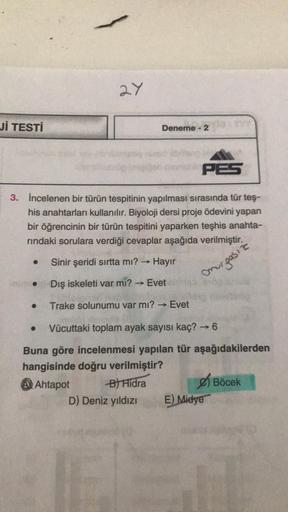 Jİ TESTİ
27
Deneme - 2
PES
3. İncelenen bir türün tespitinin yapılması sırasında tür teş-
his anahtarları kullanılır. Biyoloji dersi proje ödevini yapan
bir öğrencinin bir türün tespitini yaparken teşhis anahta-
rındaki sorulara verdiği cevaplar aşağıda ve