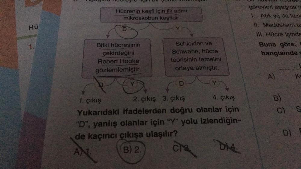 Hü
1.
Hücrenin keşfi için ilk adım
mikroskobun keşfidir.
Bitki hücresinin
çekirdeğini
Robert Hooke
gözlemlemiştir.
Y
Y
Schleiden ve
Schwann, hücre
teorisinin temelini
ortaya atmıştır.
D
Y
2. çıkış 3. çıkış
1. çıkış
4. çıkış
Yukarıdaki ifadelerden doğru ola