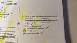 fiziğin uğraş alanı içeri-
ek
ek
Sını incelemek
nek
an
ular.
fizik bilimi-
mesi ve sinirlerde bilgi
cel bir örnektir.
akılan yere aşağıda-
elidir?
C) Biyokimya
****
eis
Yayınları
6. Fiziğin alt dalları, bazı mesleklerin gelişimine katkıda
bulunmuştur.
Aşağıdakilerden hangisi bu mesleklerden değildir?
✓
A) Tip
B Atom mühendisliği
Nükleer enerji mühendisliği
X
D Astroloji
E) Inşaat mühendisliği