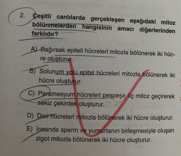 2.
Çeşitli canlılarda gerçekleşen aşağıdaki mitoz
bölünmelerden hangisinin amacı diğerlerinden
farklıdır?
A) Bağırsak epiteli hücreleri mitozla bölünerek iki hüc-
re oluşturur.
B) Solunum yolu epitel hücreleri mitozla bölünerek iki
hücre oluşturur.
C) Para