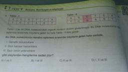 7.TEST Mutasyon, Modifikasyon ve Adaptasyon
4. Tablo-1
A
T
G
C
G
C
A
C
A
T
Tablo - Il
A
T
II. Bazı kalıtsal hastalıklara
III. Bazı üstün yeteneklere
gibi olaylardan hangilerine neden olur?
A) I ve II
B) I ve III
G
C
C) II ve III
C
G
T
A
C
G
Tablo -l'de bir DNA molekülündeki organik bazların dizilimi gösterilmiştir. Bu DNA molekülünün k
eşlemesi sırasında meydana gelen bir hata Tablo - Il'deki gibidir.
Bu DNA molekülünün kendini eşlemesi sırasında meydana gelen hata canlida,
1. Genetik bozukluklara
T
D) I, II ve III