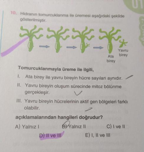 10. Hidranın tomurcuklanma ile üremesi aşağıdaki şekilde
gösterilmiştir.
przez pr
Yavru
birey
Tomurcuklanmayla üreme ile ilgili,
1.
Ata birey ile yavru bireyin hücre sayıları aynıdır.
II. Yavru bireyin oluşum sürecinde mitoz bölünme
gerçekleşir.
Ata
birey