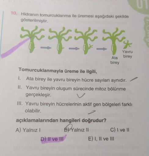 10. Hidranın tomurcuklanma ile üremesi aşağıdaki şekilde
gösterilmiştir.
przez pr
Yavru
birey
Tomurcuklanmayla üreme ile ilgili,
1.
Ata birey ile yavru bireyin hücre sayıları aynıdır.
II. Yavru bireyin oluşum sürecinde mitoz bölünme
gerçekleşir.
Ata
birey
