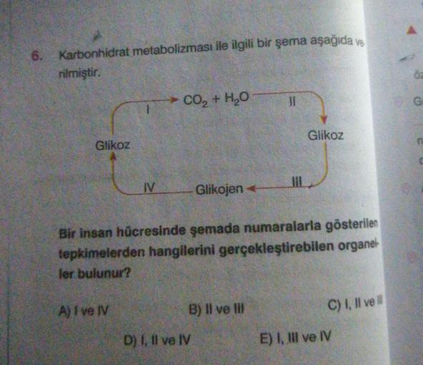 Karbonhidrat metabolizması ile ilgili bir şema aşağıda ve
rilmiştir.
Glikoz
IV
A) I ve IV
> CO, + HO
Glikojen
Bir insan hücresinde şemada numaralarla gösterilen
tepkimelerden hangilerini gerçekleştirebilen organel
ler bulunur?
B) Il ve Ill
D) 1, Il ve IV
1