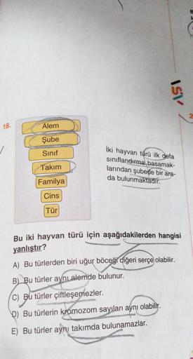 18.
Alem
Şube
Sınıf
Takım
Familya
Cins
Tür
ISV
İki hayvan türü ilk defa
sınıflandırma basamak-
larından şubede bir ara-
da bulunmaktadır.
PRO
Bu iki hayvan türü için aşağıdakilerden hangisi
yanlıştır?
A) Bu türlerden biri uğur böceği diğeri serçe olabilir.
