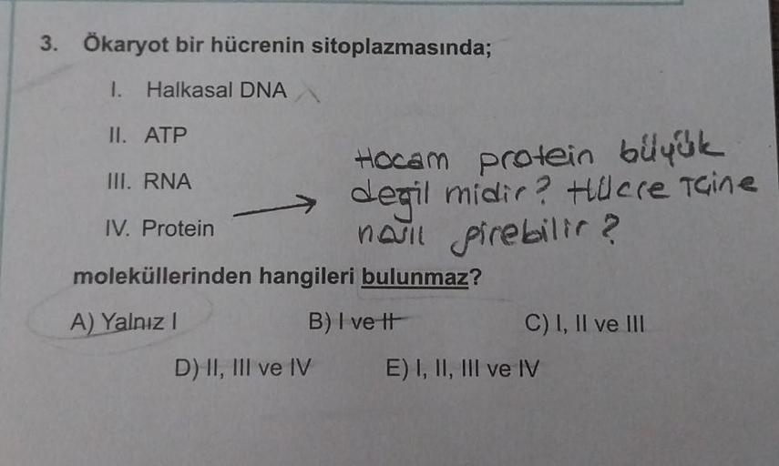 3. Ökaryot bir hücrenin sitoplazmasında;
1. Halkasal DNA
II. ATP
III. RNA
IV. Protein
Hocam protein büyük
degil midir? Hücre Taine
našil pirebilir?
moleküllerinden hangileri bulunmaz?
A) Yalnız I
B) I ve It
D) II, III ve IV
C) I, II ve III
E) I, II, III ve