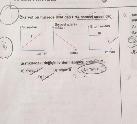 1. Ökaryot bir hücrede DNA'dan RNA sentezi sırasında;
Serbest adenin
miktarı
A Su miktarı
zaman
||
D) I ve II
zaman
A Enzim miktarı
grafiklerdeki değişimlerden hangileri çizilebilir?
A) Yalnız
B) Yalpz 11
C) Yalnız III
|||
E) I, II ve III
zaman
3.
Me
aşa
A