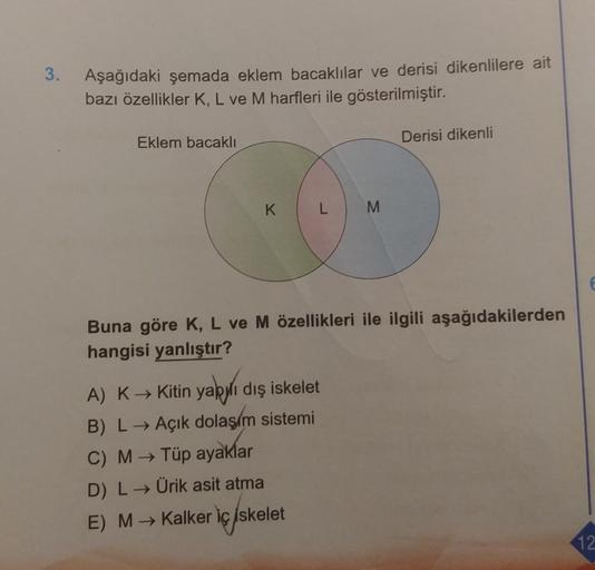 3.
Aşağıdaki şemada eklem bacaklılar ve derisi dikenlilere ait
bazı özellikler K, L ve M harfleri ile gösterilmiştir.
Eklem bacaklı
K
L
A) K→ Kitin yapılı dış iskelet
B) L→ Açık dolaşım sistemi
C) M→ Tüp ayaklar
D) L→ Ürik asit atma
E) M→ Kalker iç iskelet