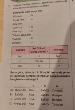 1. Aşağıda bezelye bitkisinin özelliklerini incelemede
kullanılan harflendirmeler verilmiştir.
Bezelyede çiçek rengi için,
Mor renk
: M
Beyaz renk
: m
Boy için,
Uzun boy
Kısa boy
Tohum şekli için,
Yuvarlak
Buruşuk
Genotip
Mm
DD
D
d
Saf Döl mü,
Melez Döl mü?
I
Saf döl
III
1
||
A) Melez döl Uzun
B) Saf döl
Kısa
C) Melez döl
Kısa
D) Melez döl
Kısa
Fenotip
Buna göre, tabloda I, II, III ve IV numaralı yerle-
re yazılması gereken kavramlar aşağıdakilerden
hangisinde verilmiştir?
Saf döl
Saf döl
Saf döl
Saf döl
Mor
11
IV
IV
Yuvarlak
Buruşuk
Buruşuk
Yuvarlak
ç