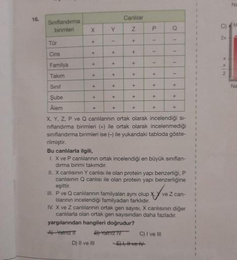 16.
Sınıflandırma
birimleri
Tür
Cins
Familya
Takım
Sinif
Şube
Alem
X
+
+
+
+
+
+
+
Y
+
+
+
D) II ve III
+
+
+
Canlılar
N
+
+
+
+
+
+
P
1
+
+
+
-E), Ive IV-
+
O
1
1
C) I ve III
-
+
X, Y, Z, P ve Q canlılarının ortak olarak incelendiği sı-
nıflandırma biriml