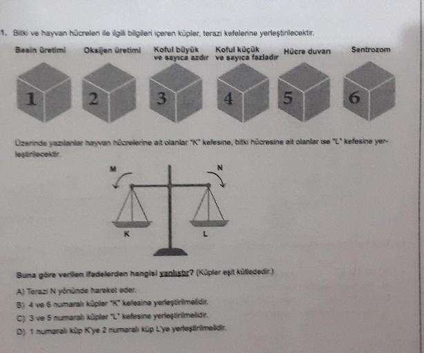 1. Bitki ve hayvan hücreleri ile ilgili bilgileri içeren küpler, terazi kefelerine yerleştirilecektir.
Besin Üretim
Oksijen üretiml
Koful büyük Koful küçük
ve sayıca azdır ve sayıca fazladır
2
3
M
4
Hücre duvan
Buna göre verilen ifadelerden hangisi yanlışt