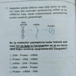 12. Aşağıdaki şekilde DNA'nın kalıp ipliği içeren bir bölü-
mü, kalıp iplik üzerinden sentezlenmiş mRNA ve bu
mRNA'nın kalıp olarak kullanılmasıyla sentezlenmiş
protein molekülü gösterilmiştir.
DNA
sarmalı
mRNA
Protein
()
Bu üç molekülün yapıtaşlarına kadar hidroliz edil-
mesi için en fazla su harcanandan en az su harca-
nana doğru sıralanışı aşağıdakilerden hangisidir?
A) DNA- Protein - mRNA
B) Protein - DNA - mRNA
C) mRNA - DNA - Protein
D) DNA-mRNA - Protein
E) Protein - mRNA - DNA