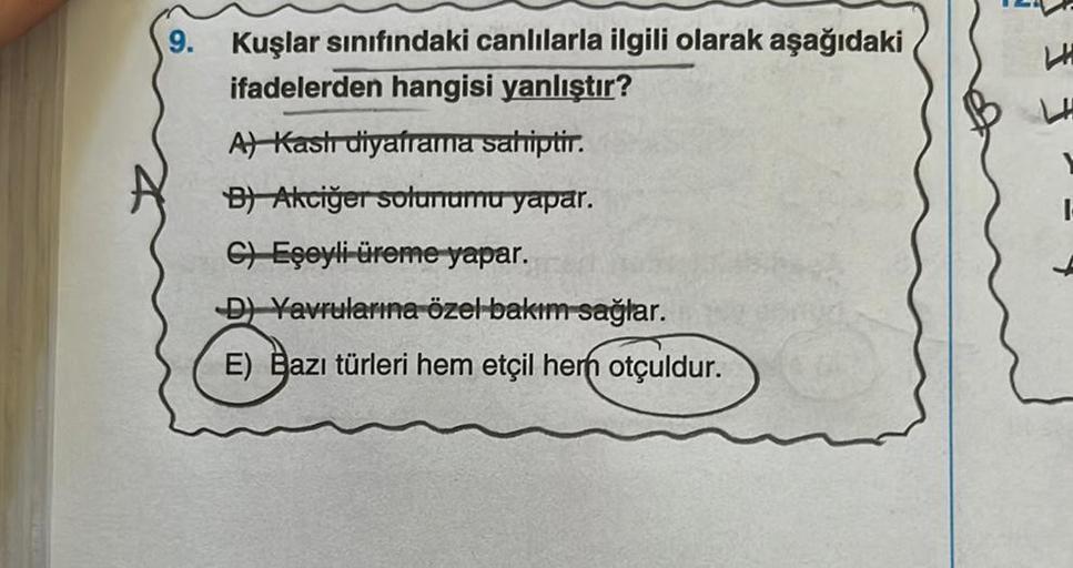 9.
Kuşlar sınıfındaki canlılarla ilgili olarak aşağıdaki
ifadelerden hangisi yanlıştır?
A) Kastı diyaframa sahiptir.
B) Akciğer solunumu yapar.
C) Eşeyli üreme yapar.
D) Yavrularına özel bakım sağlar.
E) Bazı türleri hem etçil her otçuldur.
LH