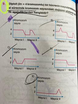 9. Diploit (2n = 4 kromozomlu) bir hücrenin mayozla bölünme
si sürecinde kromozom sayısındaki değişimi gösteren g
fik aşağıdakilerden hangisidir?
A)
4
2
4
2
Kromozom
sayısı
m
Kromozom
sayısı
SPASTA
lo 18:00
Mayoz I Mayoz II
Mayoz I Mayoz II
O
2
B
E) Kromozom
sayısı
4
2
DY
eletoun
hoorhaloge Mayoz I Mayoz ||
Unso
Kromozom
sayısı
Kromozom
sayısı
4
2
Lesbis
Mayoz I Mayoz ||
Mayoz I Mayoz II
VA