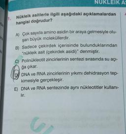 sine
le
1.
NUKLEIK AS
Nükleik asitlerle ilgili aşağıdaki açıklamalardan
hangisi doğrudur?
A) Çok sayıda amino asidin bir araya gelmesiyle olu-
şan büyük moleküllerdir.
B) Sadece çekirdek içerisinde bulunduklarından
"nükleik asit (çekirdek asidi)" denmiştir.
C) Polinükleotit zincirlerinin sentezi sırasında su açı-
ğa çıkar.
DNA ve RNA zincirlerinin yıkımı dehidrasyon tep-
kimesiyle gerçekleşir.
E) DNA ve RNA sentezinde aynı nükleotitler kullanı-
lır.
S