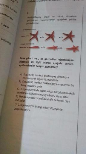 gi
eşeysiz üreme
sentromer
mayoz
bağlandığı
Aşağıda yer alan
1.
Denizyıldızında organ ve vücut düzeyinde
gerçekleşen rejenerasyonlar aşağıdaki şekilde
gösterilmiştir.
*->
1. rejenerasyon
2. rejenerasyon
Buna göre 1 ve 2 ile gösterilen rejenerasyon
düzeyler