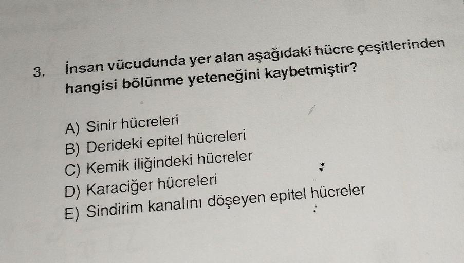 3.
İnsan vücudunda yer alan aşağıdaki hücre çeşitlerinden
hangisi bölünme yeteneğini kaybetmiştir?
ALAP
A) Sinir hücreleri
B) Derideki epitel hücreleri
C) Kemik iliğindeki hücreler
D) Karaciğer hücreleri
E) Sindirim kanalını döşeyen epitel hücreler