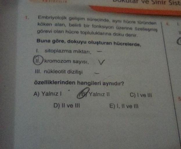 Embriyolojik gelişim sürecinde, ayni hücre türünden
köken alan, belirli bir fonksiyon üzerine özelleşmiş
görevi olan hücre topluluklarına doku denir.
Buna göre, dokuyu oluşturan hücrelerde,
sitoplazma miktarı,
kromozom sayısı, V
1
III. nükleotit dizilişi
ö