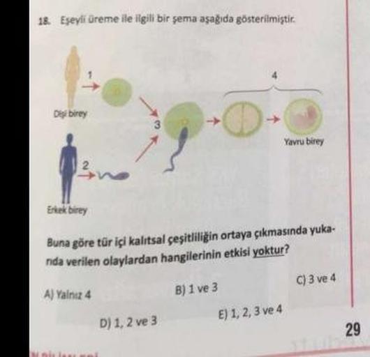 18. Eşeyli üreme ile ilgili bir şema aşağıda gösterilmiştir.
Dişi birey
Erkek birey
Buna göre tür içi kalıtsal çeşitliliğin ortaya çıkmasında yuka-
nda verilen olaylardan hangilerinin etkisi yoktur?
A) Yalnız 4
D) 1, 2 ve 3
B) 1 ve 3
Yavru birey
E) 1, 2, 3