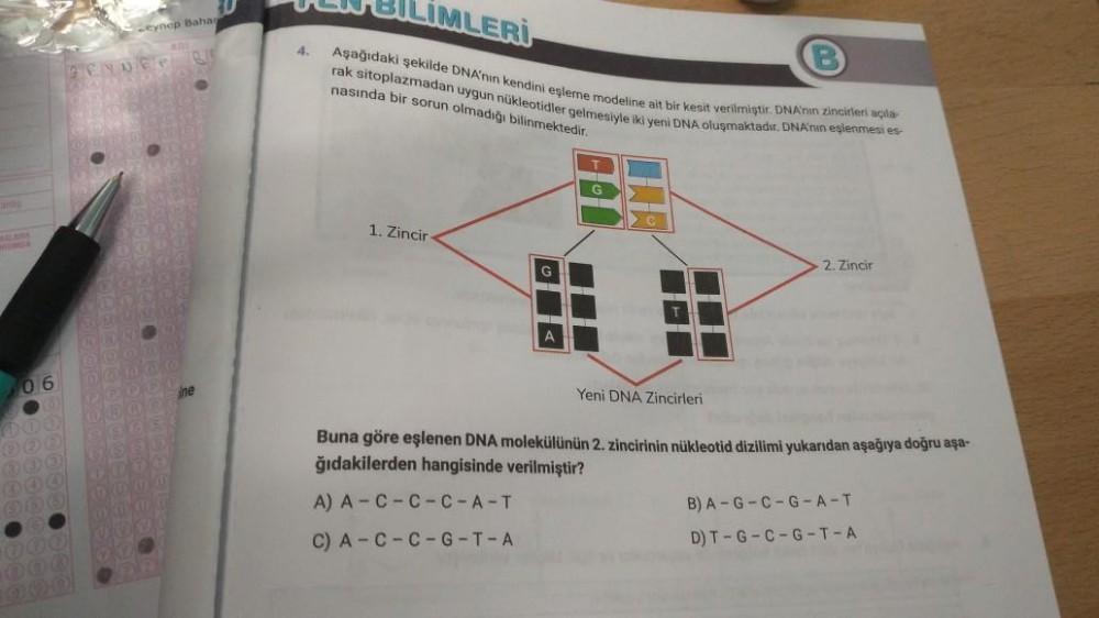 06
●
20
eynep Bahar
JENNEF B
4.
BILIMLERI
B
Aşağıdaki şekilde DNA'nin kendini eşleme modeline ait bir kesit verilmiştir. DNA'nın zincirleri açıla
rak sitoplazmadan uygun nükleotidler gelmesiyle iki yeni DNA oluşmaktadır. DNA'nin eşlenmesi es
nasında bir so