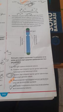 Yalniz III
ey belirli
madı-
lerden
er-
X
enk
mir.)
ell
243
A) XHXH
D) Xhy
1xh
H
Y kromozomuna
özü bölüm
B) XHY
náz
Ex
x+x+
X HY
5. Insanlarda cinsiyetin belirlenmesiyle ilgili olan kromo-
zom çiftlerinden birine X diğerine Y kromozomu denir.
Y kromozomu X kromozomundan daha küçük olup, ta-
şıdığı genlerin önemli bir bölümünün X kromozomunda
karşılığı bulunmaz. Aşağıdaki şekilde Y kromozomunun
X kromozomundan farklı olan bölümü (mavi) ile X kro-
mozomuna homolog bölümü (yeşil) gösterilmiştir.
SRY geni
C) xxh
X kromozomu
homolog böl
Buna göre, sağlıklı insanlardaki Y kromozomu ve ta-
şıdığı genlerle ilgili aşağıdaki açıklamalardan han-
gisi yanlıştır?
ASRY geni sadece erkeklerde bulunur.
B) Erkekler mavi bölgede taşınan genler bakımından
homozigot ya da heterozigot olmaz.
C) Erkekler yeşil bölgede taşınan genler bakımından
heterozigot genotipli olabilir.
OHOS
D) Mayoz sırasında mavi bölgede bulunan genler kros-
sing over ile birbirinden ayrılabilir.
E) Kadınlarda Y kromozomu bulunmaz ancak erkekler-
de X kromozomu bulunur.
BANKASI
AKILLI TANTR